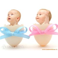 Đảng viên không chồng mà có con thì có vi phạm kỷ luật Đảng không?