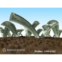 Tư vấn nộp thuế nhà đất ?