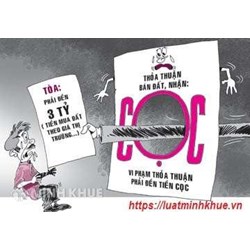 Đặt cọc nhưng không thực hiện được hợp đồng thì phải chịu trách nhiệm gì ?