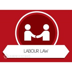 Có vi phạm Điều 20 Bộ luật lao động không ?