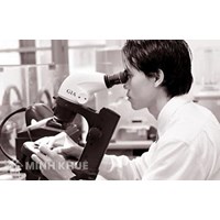 Không có Giấy từ chối giám định pháp y liệu có bị khởi tố ?