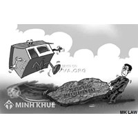 Thủ tục chuyển nhượng đất trồng cây lâu năm ? Thủ tục chuyển đổi đất trồng cây lâu năm thành đất ở ?