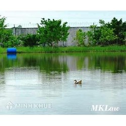 Không giấy tờ gì có đòi lại được đất ao ?