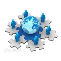 Thủ tục giải thể chi nhánh công ty trách nhiệm hữu hạn?