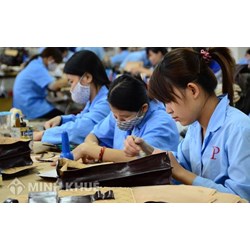 Có được đóng bảo hiểm bù cho những tháng không đóng ?