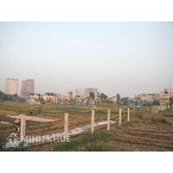 Trách nhiệm của văn phòng đăng ký quyền sử dụng đất?