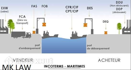 UCC lĩnh vực nào được sử dụng?
