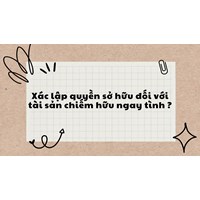 Xác lập quyền sở hữu đối với tài sản chiếm hữu ngay tình ?