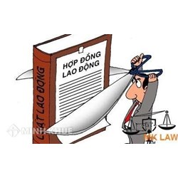 Nhân viên thời vụ có được ký hợp đồng lao động ?