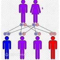 Những người có họ trong phạm vi 4 đời có được kết hôn không ?