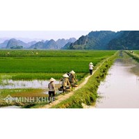 Mức bồi thường thỏa đáng đối với đất nông nghiệp khi bị nhà nước thu hồi ?