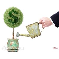 Tư vấn điều kiện vay vốn ưu đãi?