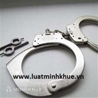 Có bị truy cứu trách nhiệm hình sự không ?