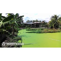 Việc xác định diện tích đất ở trong trường hợp có vườn ao thực hiện như thế nào?
