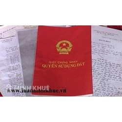 Tư vấn việc chuyển nhượng quyền sử dụng đất cho con trai út ?