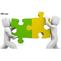Sát nhập 2 công ty TNHH một thành viên thực hiện như thế nào?