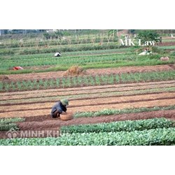 Tư vấn quyền sử dụng đất đối với đất canh tác trên 30 năm ?