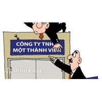 Quy định pháp luật về công ty trách nhiệm hữu hạn 1 thành viên?
