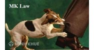 Tư vấn về trách nhiệm dân sự của chủ nuôi chó ?