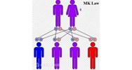 Quy định của pháp luật về kết hôn có quan hệ huyết thống ?