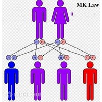Quy định của pháp luật về kết hôn có quan hệ huyết thống ?