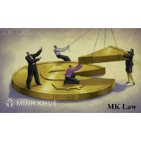 Tư vấn về cổ phần hóa doanh nghiệp nhà nước ?