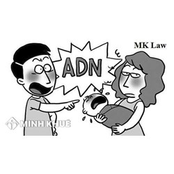 Tư vấn việc người cha từ chối nhận con ? Thủ tục khởi kiện yêu cầu xác nhận cha cho con ?