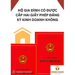 Một hộ gia đình có được cấp hai giấy phép đăng ký kinh doanh không ?