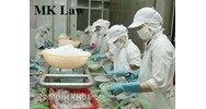 Tư vấn về việc ra quyết định chấm dứt hợp đồng lao động hay quyết định cho về hưu?