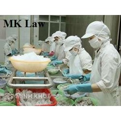 Tư vấn về việc ra quyết định chấm dứt hợp đồng lao động hay quyết định cho về hưu?
