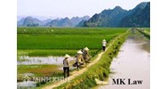 Tư vấn về việc được tặng cho quyền sử dụng đất nông nghiệp ?