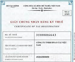 Có phải nộp thuế đối với thời gian chưa có mã số thuế hay không?