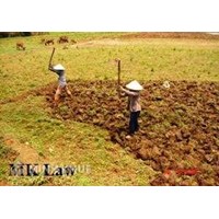 Tư vấn mức bồi thường đối với đất khai hoang có đủ điều kiện cấp Giấy chứng nhận quyền sử dụng đất?