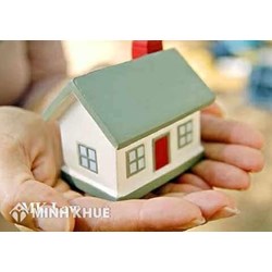 Xin mẫu đơn đề nghị chuyển quyền sử dụng đất, thủ tục mua đất ? 