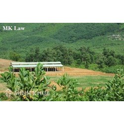 Tư vấn về việc tranh chấp đường đi giải quyết như thế nào ? Tranh chấp ranh giới thửa đất ?