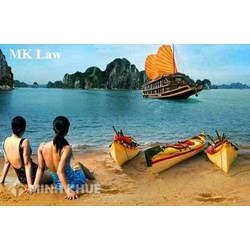 Tư vấn điều kiện, thủ tục thành lập công ty du lịch nội địa ?