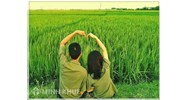 Trách nhiệm của bạn trai đối với bạn gái có thai nhưng không chịu cưới ?