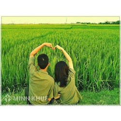 Trách nhiệm của bạn trai đối với bạn gái có thai nhưng không chịu cưới ?