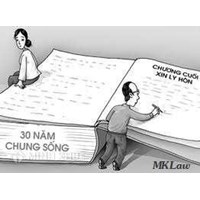 Tư vấn ly hôn khi gia đình không hạnh phúc ? Chồng không quan tâm đến vợ có ly hôn được không  ?