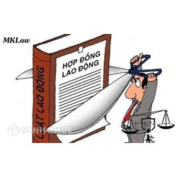 Trình tự giải quyết kỷ luật người lao động ?