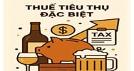 Mức giảm thuế tiêu thụ đặc biệt tối đa là bao nhiêu theo quy định mới nhất?