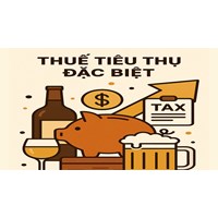 Mức giảm thuế tiêu thụ đặc biệt tối đa là bao nhiêu theo quy định mới nhất?