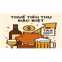 Mức giảm thuế tiêu thụ đặc biệt tối đa là bao nhiêu theo quy định mới nhất?