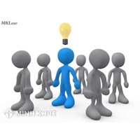 Thủ tục ủy quyền và quyền hạn của giám đốc công ty trách nhiệm hữu hạn?