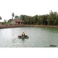 Thủ tục chuyển đất ao sang làm kinh tế VAC ?
