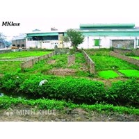 Chuyển nhượng QSD đất và tài sản trên đất trong khu công nghiệp ?
