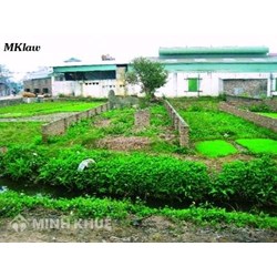 Chuyển nhượng QSD đất và tài sản trên đất trong khu công nghiệp ?