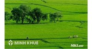Tư vấn điều kiện, thời gian, thủ tục thuê đất làm trang trại ? Thủ tục chuyển đổi đất trồng lúa sang làm trang trại ?
