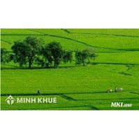 Tư vấn điều kiện, thời gian, thủ tục thuê đất làm trang trại ? Thủ tục chuyển đổi đất trồng lúa sang làm trang trại ?