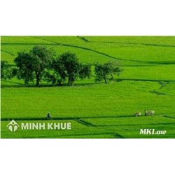 Tư vấn điều kiện, thời gian, thủ tục thuê đất làm trang trại ? Thủ tục chuyển đổi đất trồng lúa sang làm trang trại ?